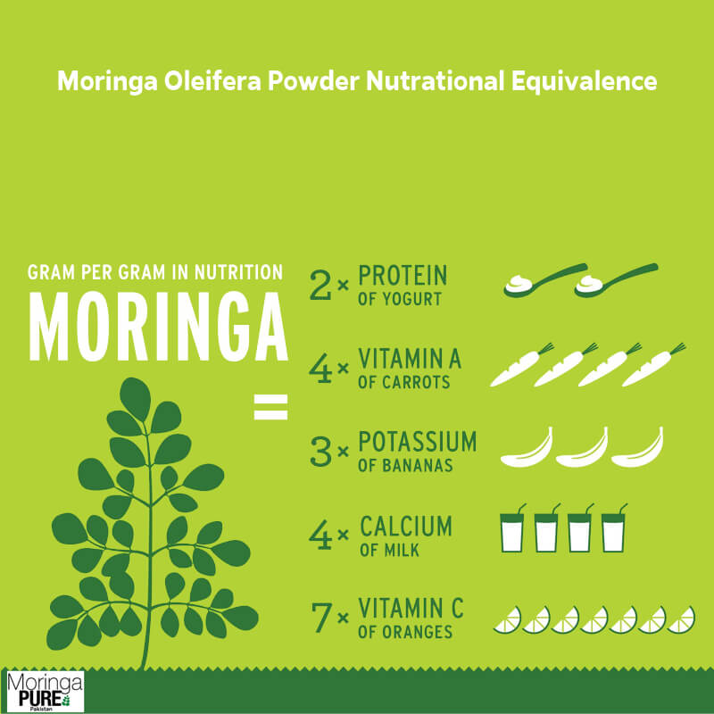 Moringa-Oleifera-Powder-Nutrational-Equivalence
