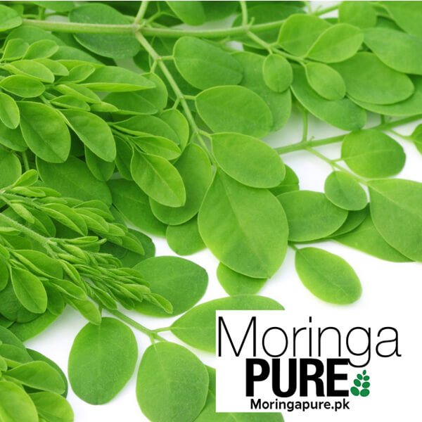 Leaves-Moringa-250g-Pakistan